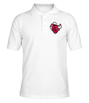 Мужская футболка поло Chicago Bulls (в кепке)