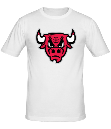 Мужская футболка Chicago Bulls (голова)