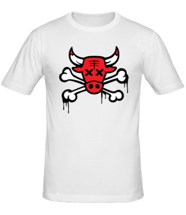 Мужская футболка Chicago Bulls (череп)