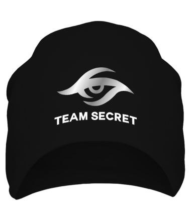 Шапка Team secret 