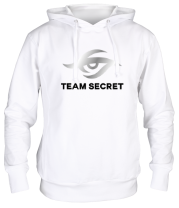 Толстовка худи Team secret  фото