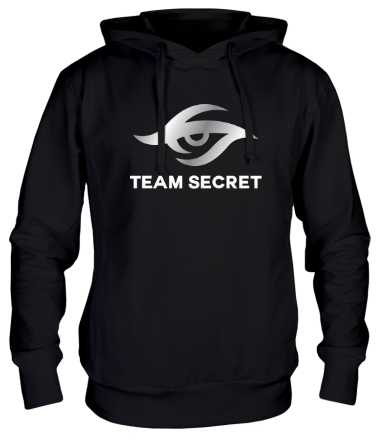 Толстовка худи Team secret 