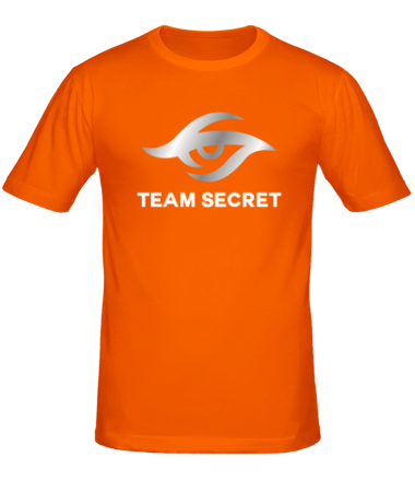 Мужская футболка Team secret 