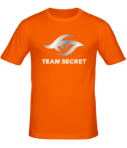 Мужская футболка Team secret  фото