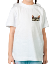 Детская футболка Кот в кармашке фото
