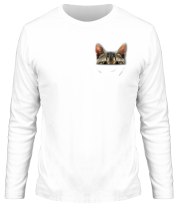 Мужская футболка длинный рукав Кот в кармашке фото