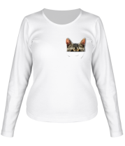 Женская футболка длинный рукав Кот в кармашке фото