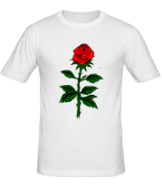 Мужская футболка Valentine Rose Love фото