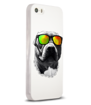 Чехол для iPhone Пёс в очках фото