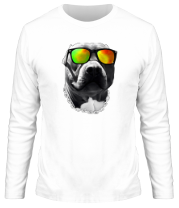 Мужская футболка длинный рукав Пёс в очках фото