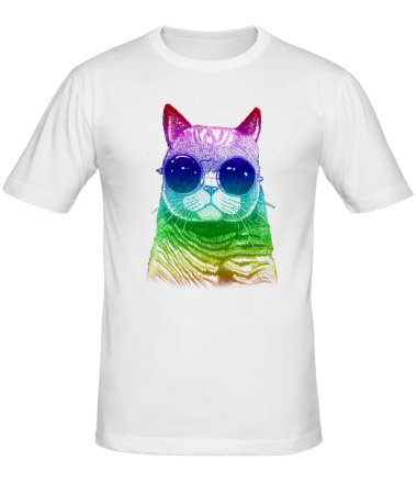 Мужская футболка Радужный кот