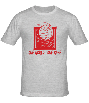Мужская футболка One world - one game