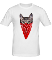 Мужская футболка Гангстер кот фото