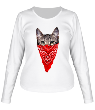 Женская футболка длинный рукав Гангстер кот