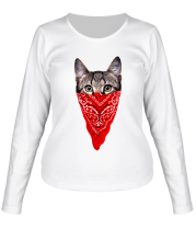 Женская футболка длинный рукав Гангстер кот фото
