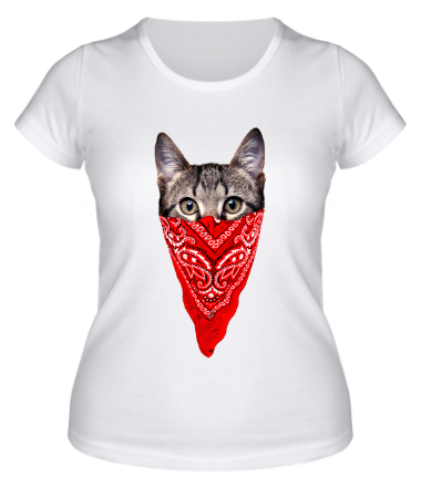 Женская футболка Гангстер кот