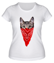 Женская футболка Гангстер кот