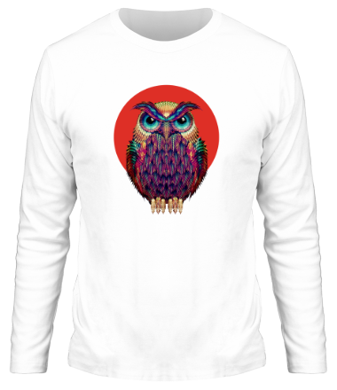 Мужская футболка длинный рукав Owl 2