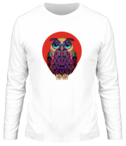 Мужская футболка длинный рукав Owl 2 фото