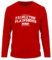 Мужская футболка длинный рукав Princeton Plainsboro фото