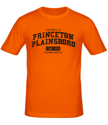 Мужская футболка Princeton Plainsboro