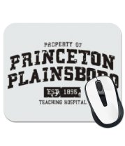 Коврик для мыши Princeton Plainsboro фото