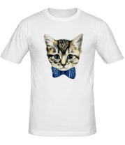 Мужская футболка Котёнок в бабочке фото