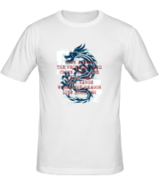 Мужская футболка Dragon фото