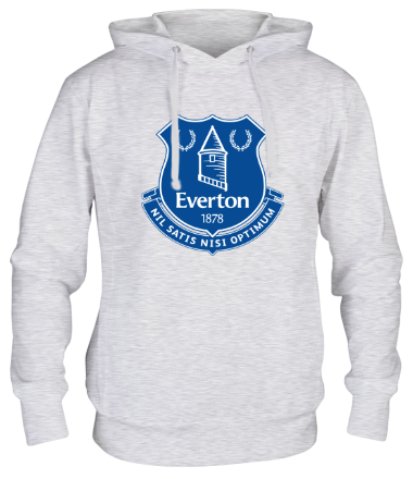 Толстовка худи Everton big logo