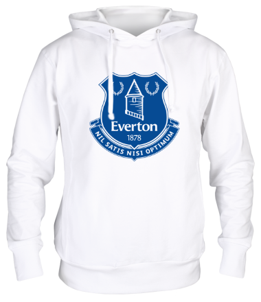 Толстовка худи Everton big logo