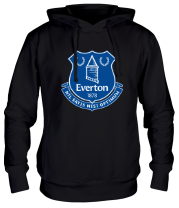 Толстовка худи Everton big logo фото