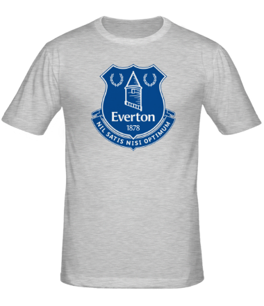Мужская футболка Everton big logo
