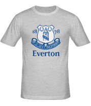 Мужская футболка Everton FC фото