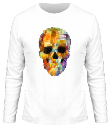 Мужская футболка длинный рукав Skull grunge 