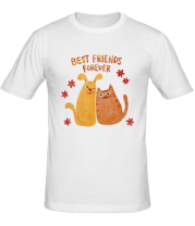 Мужская футболка Лучшие друзья навсегда