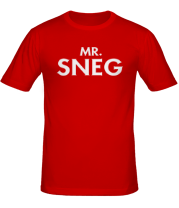 Мужская футболка MR.SNEG фото