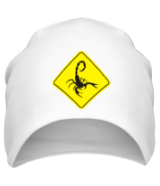 Шапка Знак скорпион фото