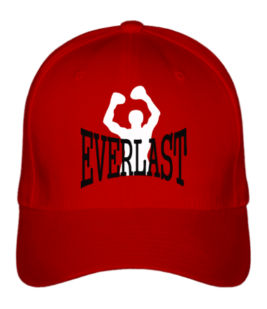 Бейсболка Everlast