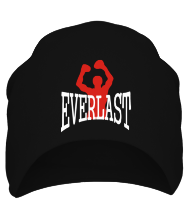 Шапка Everlast