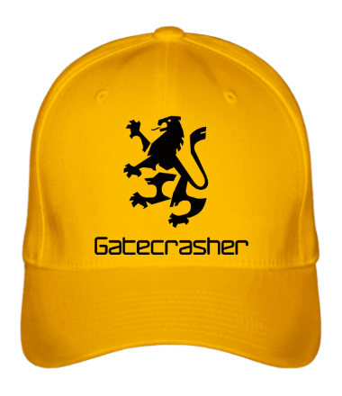 Бейсболка Gatecrasher