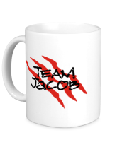 Кружка Team Jacob фото