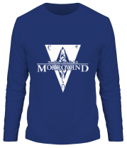Мужская футболка длинный рукав Morrowind фото