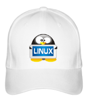 Бейсболка Linux