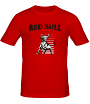 Мужская футболка Red Bull фото
