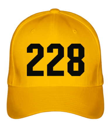 Бейсболка 228