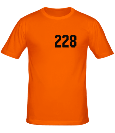 Мужская футболка 228