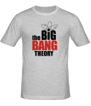 Мужская футболка the Big Bang Theory фото