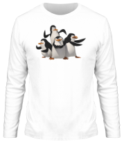 Мужская футболка длинный рукав Пингвины фото
