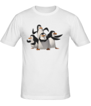 Мужская футболка Пингвины фото