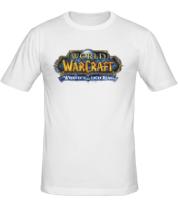 Мужская футболка World of Warcraft Wrath of the Lich King